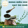 Rong Biển Mix Hạt Óc Chó Tại Cửa Hàng Kogy House