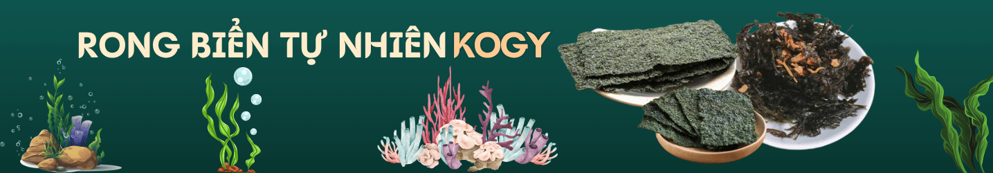 Sự bí ẩn và thanh khiết từ Rong biển tại Kogy House