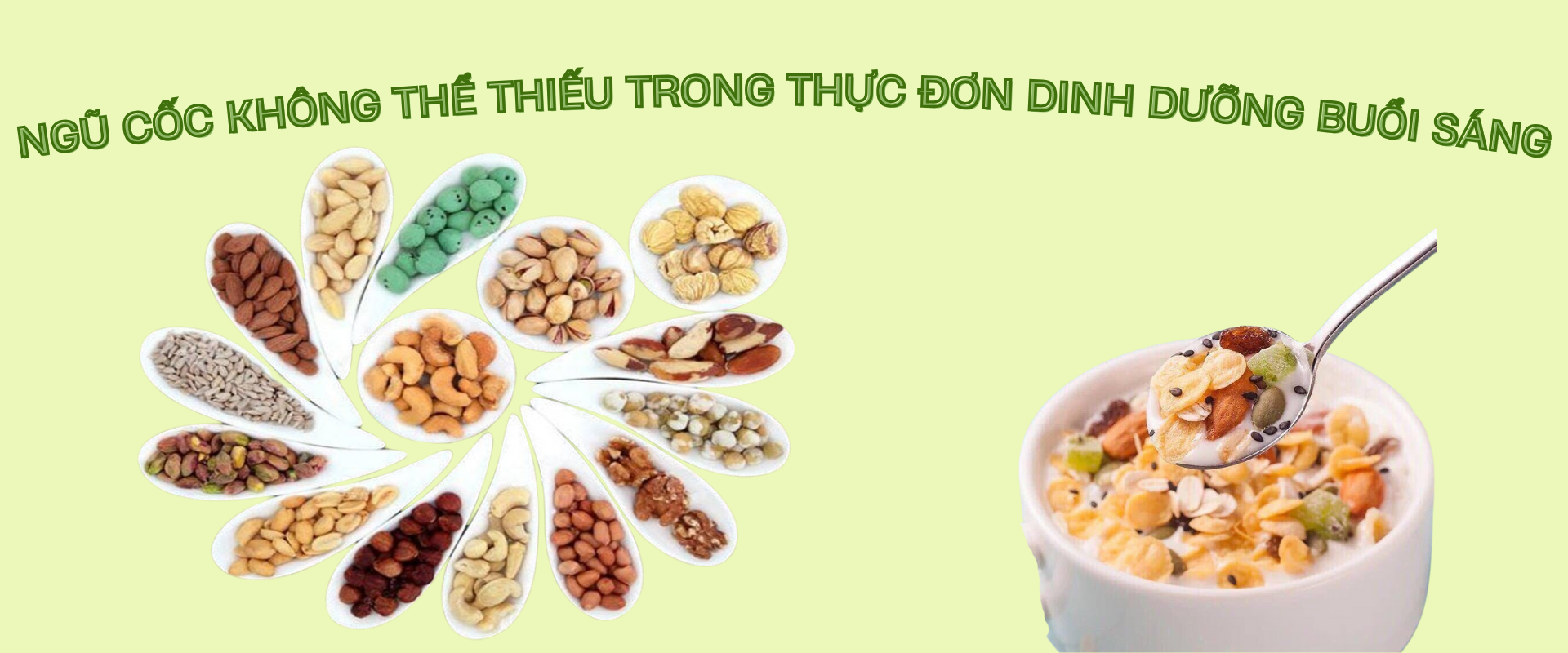 Ngũ Cốc Không Thể Thiếu Trong Thực Đơn Dinh Dưỡng Buổi Sáng